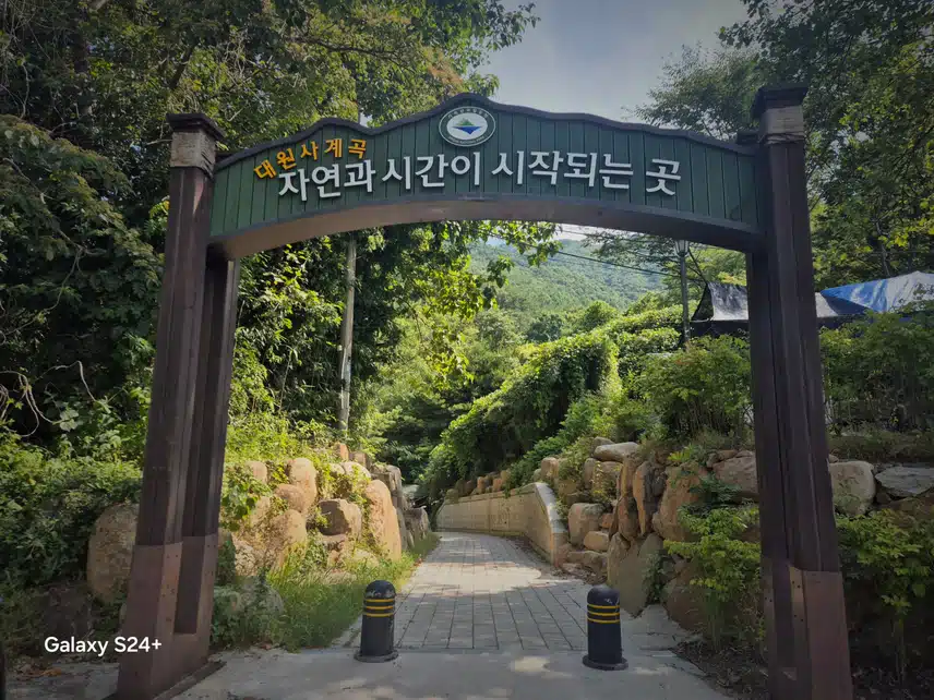 경남 산청. 대원사길 다녀왔어요  글고 이만큼 걸었어요.  오늘도  행복한 하루였습니다