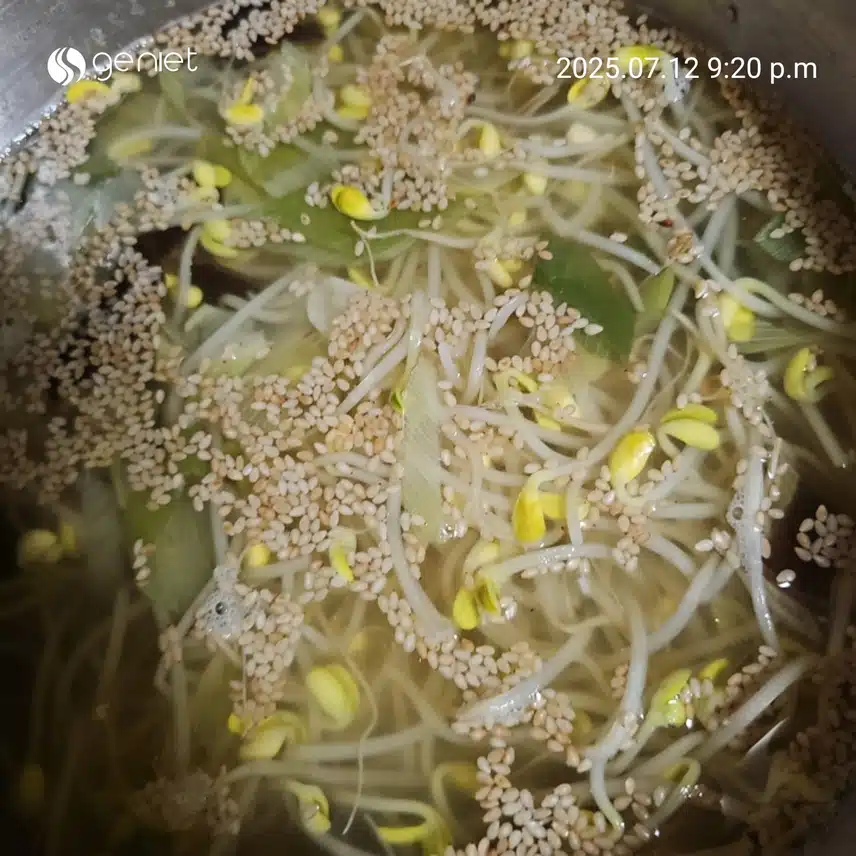 콩나물국