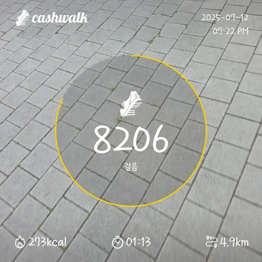 인증