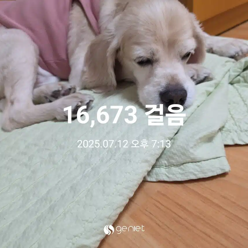 토요일 마무리 