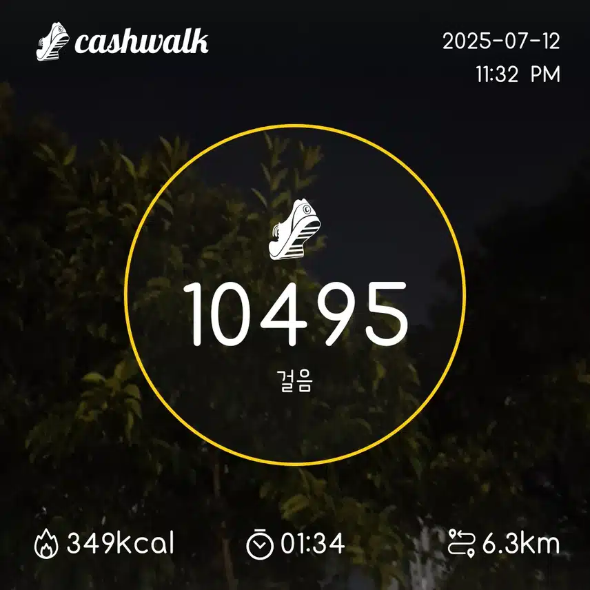 만보완료