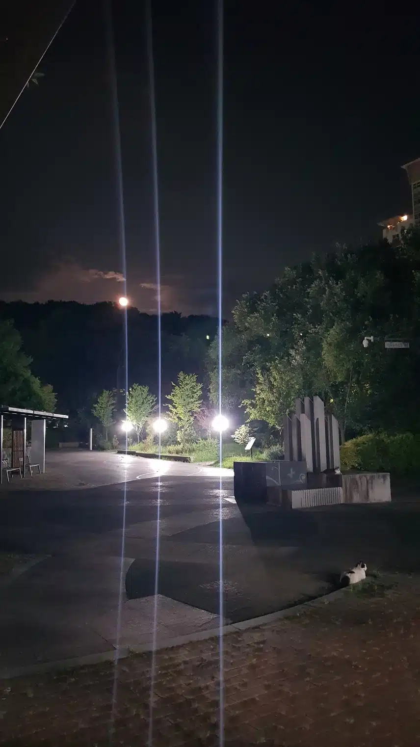 매일 만보걷기 반년 이상 꾸준히 한 효과와 후기