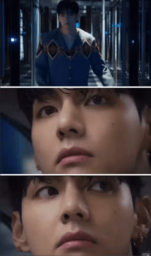 파리를 걷는 뷔, 셀린느의 정체성이 되다