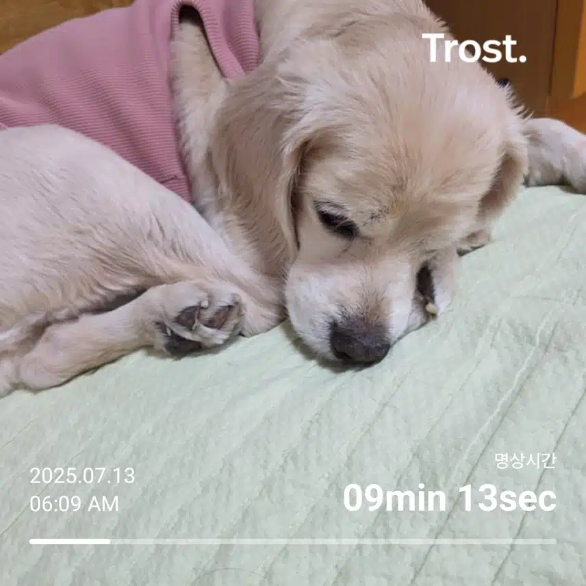 일요일 아침 