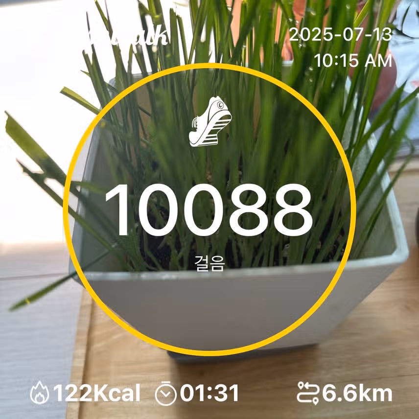 인증