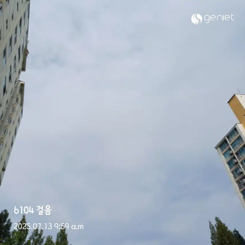 오전걷기 