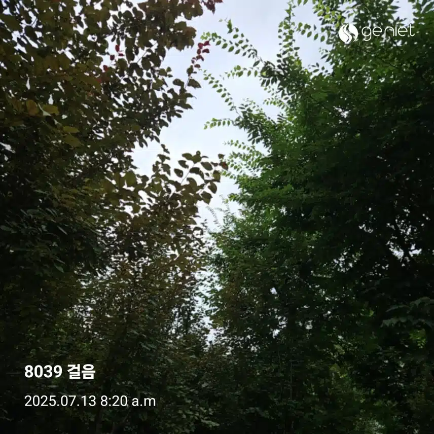 시원한 산책길 걸었네요🏃