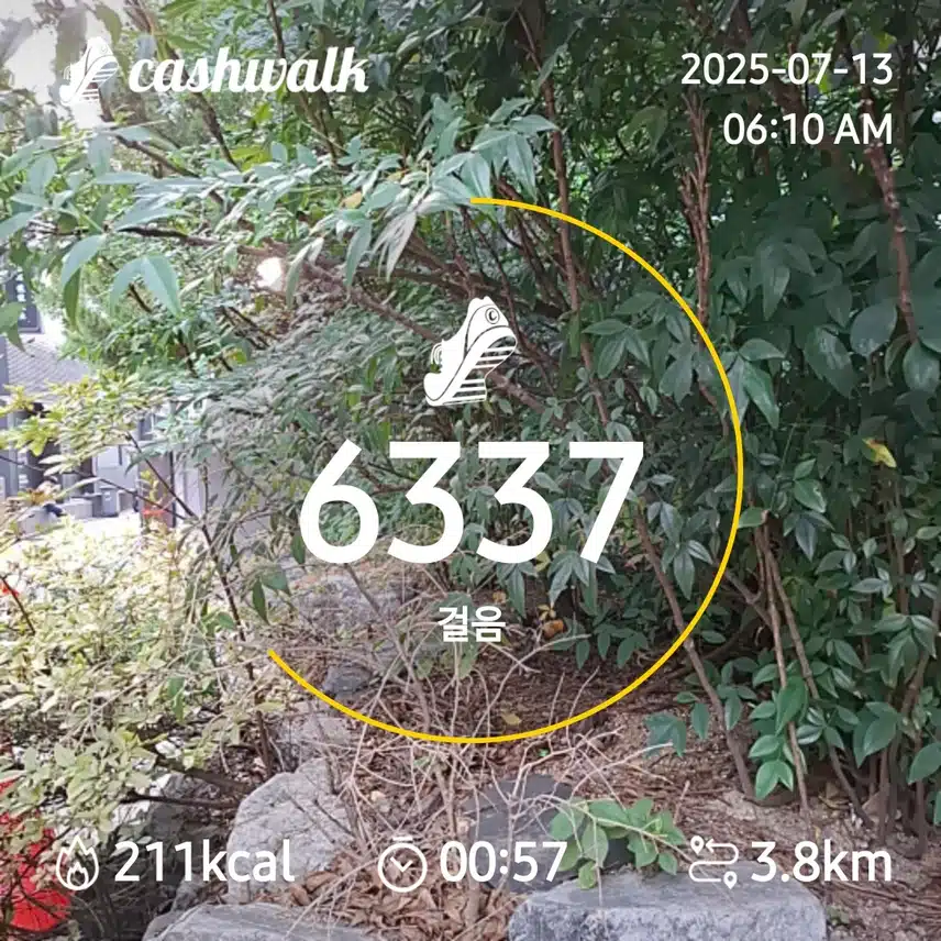 6000보 걷기