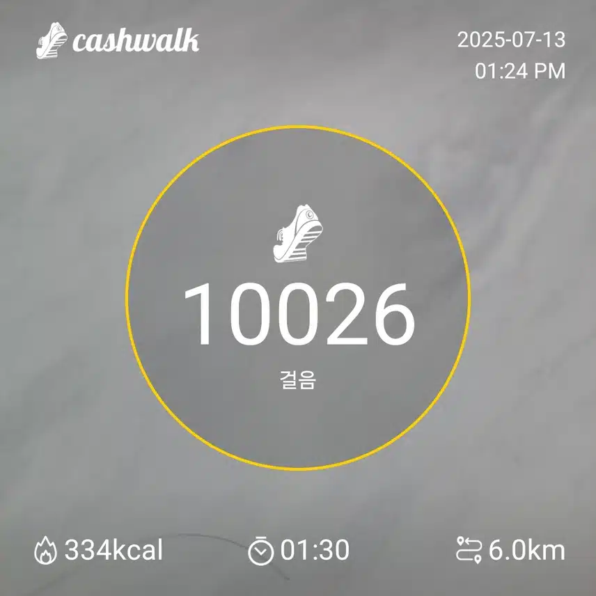 인증 