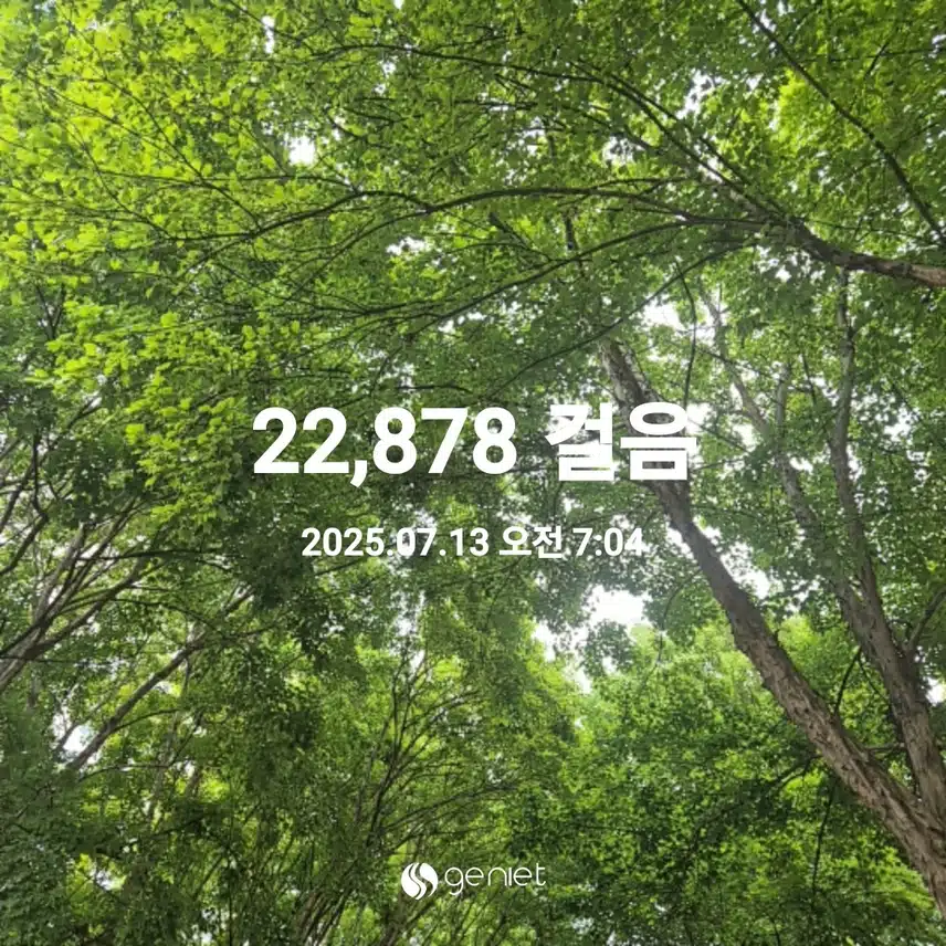 7월 13일 일요일 걷기 