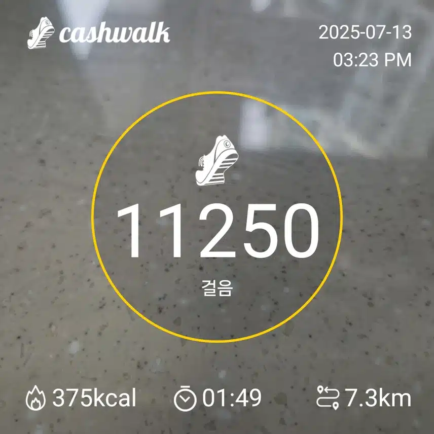 인증