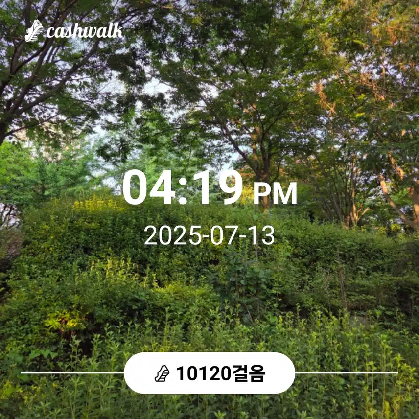 만보걷기운동 완료 