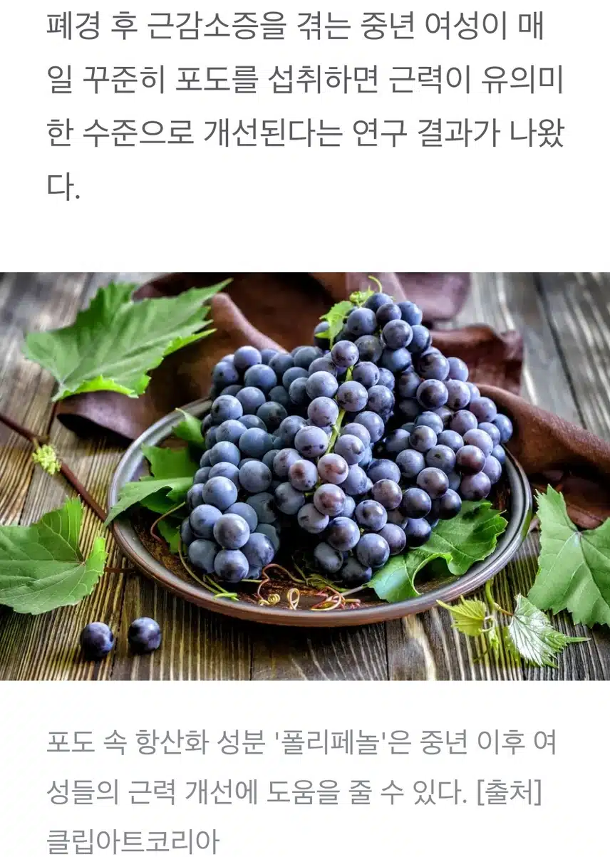 포도에 효능이 엄첨 많아요