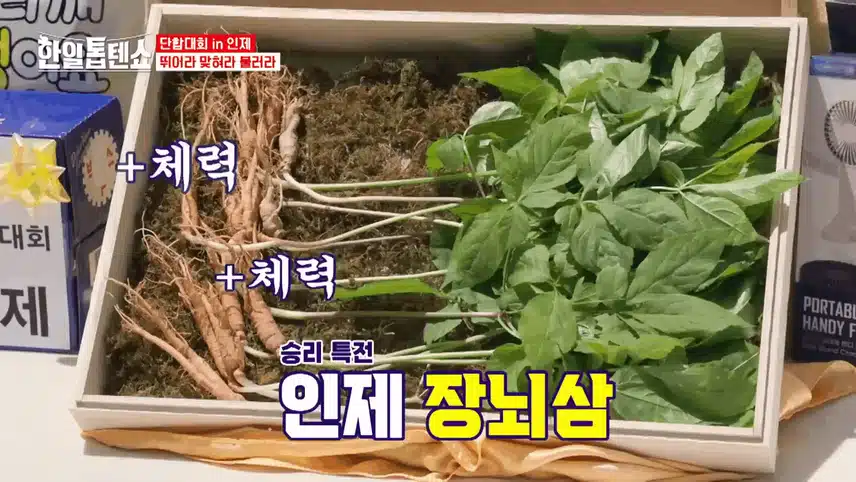 노래 맞추기 게임과 시원한 물풍선 받기 게임
