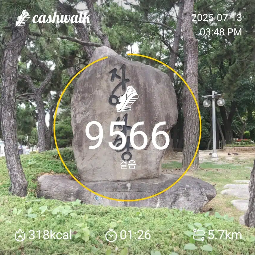 인증 