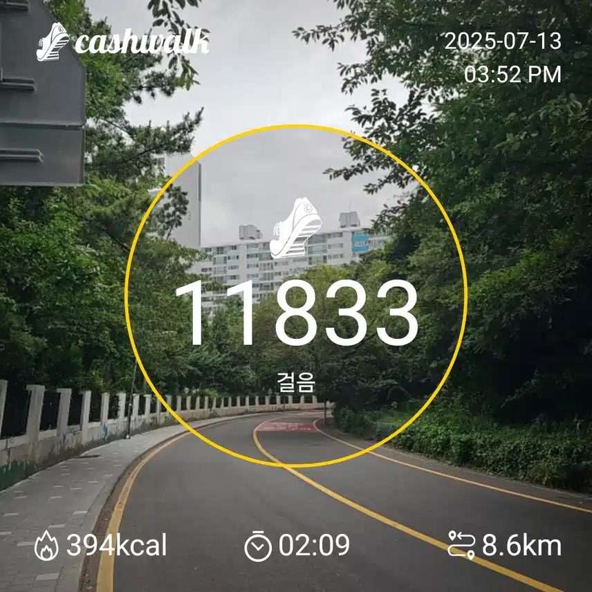 인증 