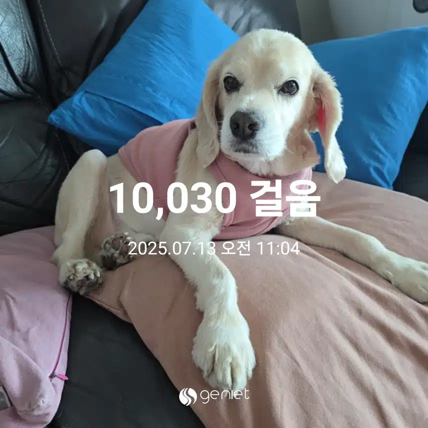 일요일 마무리 