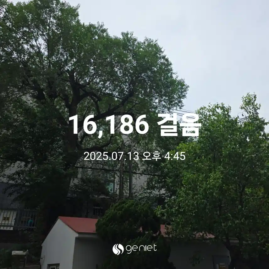일요일 마무리 