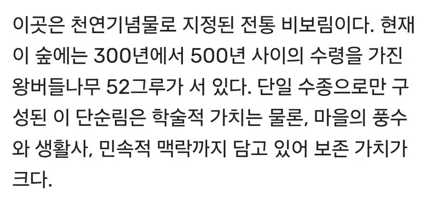 전국 백문동. 최고인 명소는 여기...성주