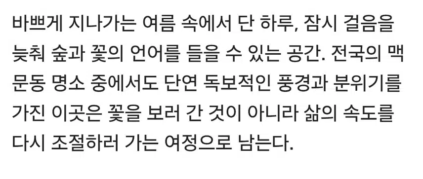 전국 백문동. 최고인 명소는 여기...성주