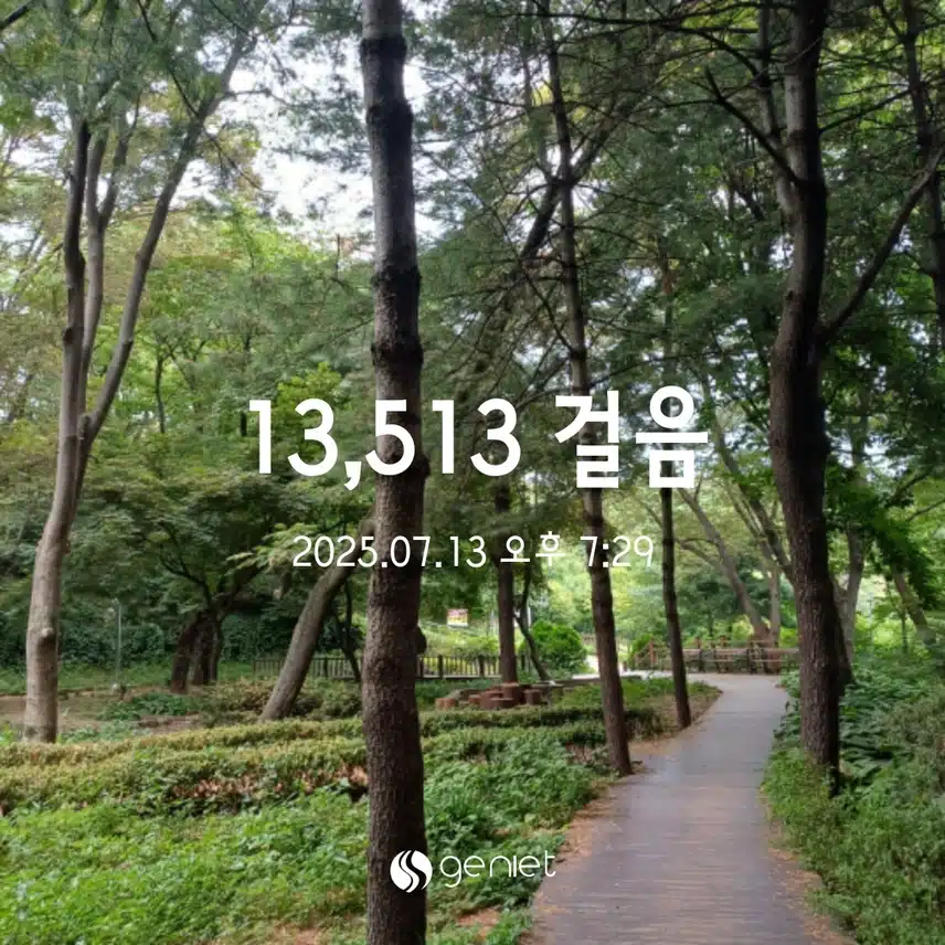 일욜걸음 