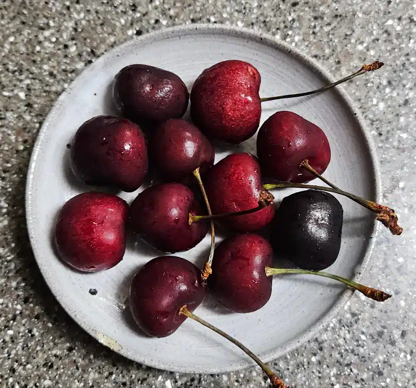 후식으로 새콤하게 🍒
