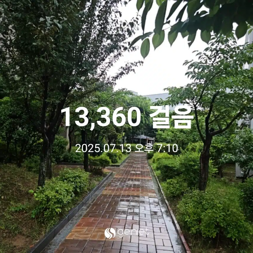 촉촉한 비가 내리네요. ☔️ 
