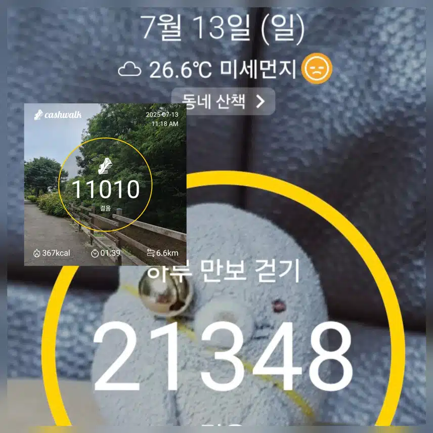 오늘은 바람이 시원하니 걷기좋네요~🥰