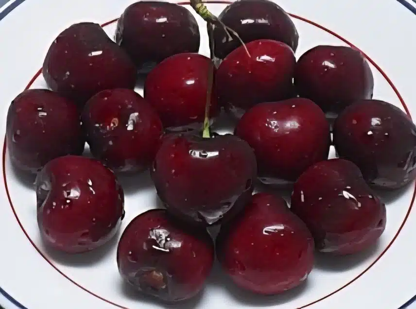 체리로 후식 챙겨요~🍒