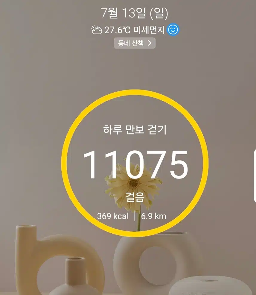 1만보 걷기 운동
