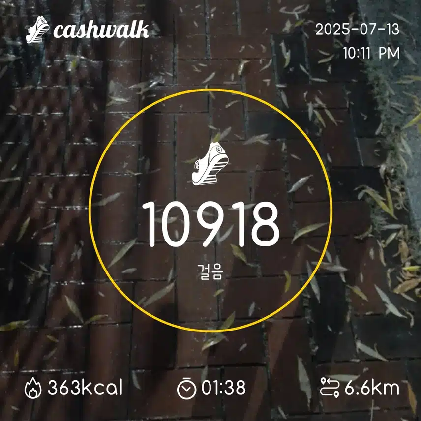 밤산책 걷기