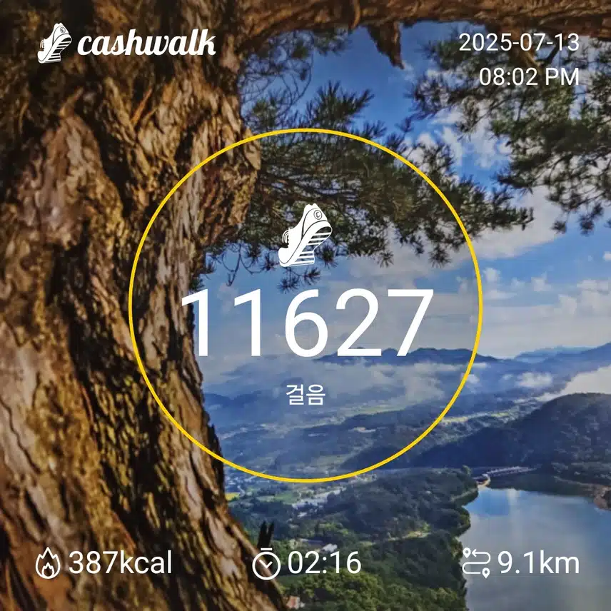 인증