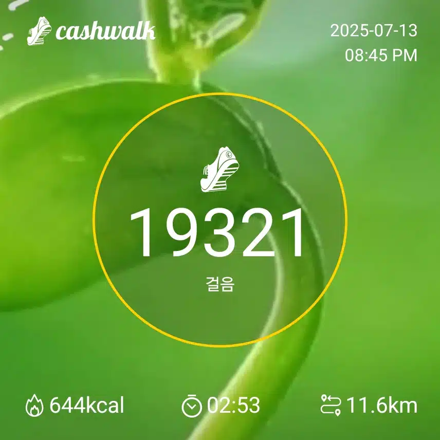 휴일이라 밀린 일처리 하느라 바빴네요  마무리 합니다
