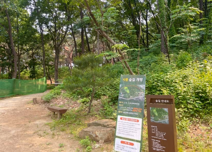 남양주 조선왕릉 사릉숲길 시원해서 좋아요
