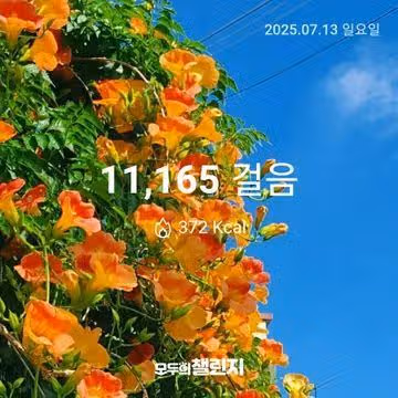7월 13일 만천보 완주 