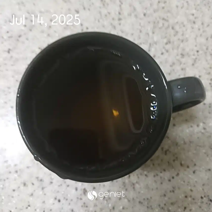 보리차 
