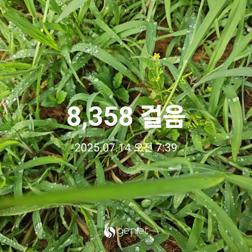 상쾌한 산책길 🏃