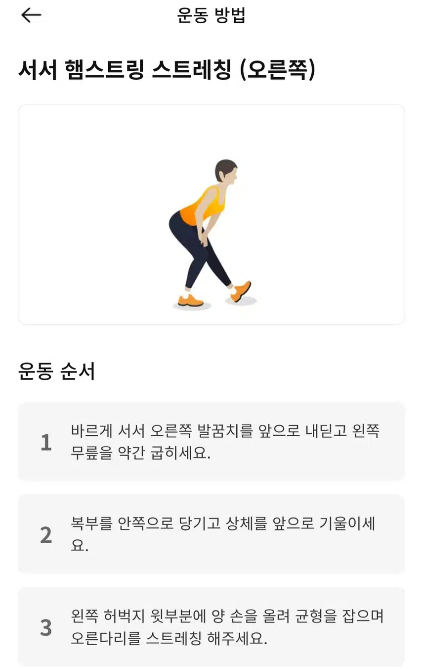 (캐시홈트) 하체근력과 밸런스를 동시에 잡는 운동 루틴 