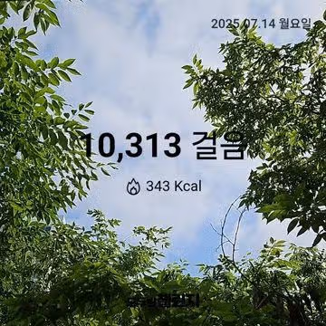 창원친구들