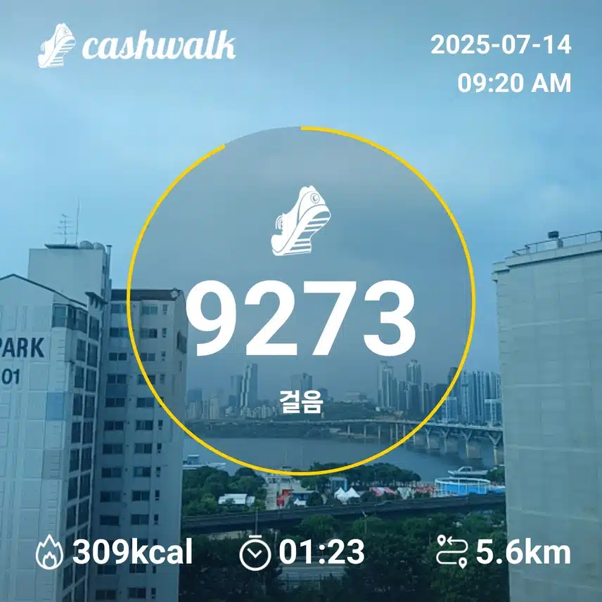 인증 