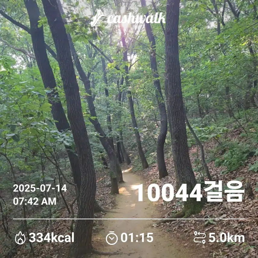 인증