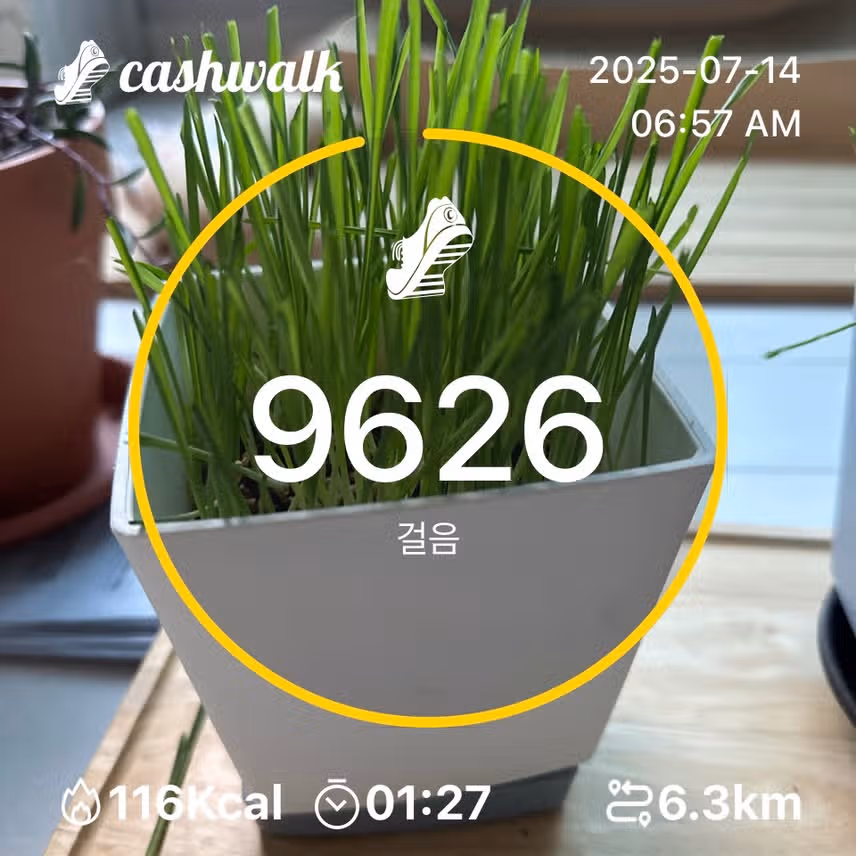 인증