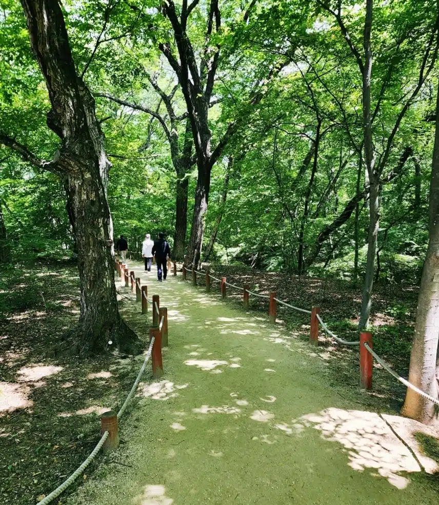 함양 가볼만한곳 상림공원