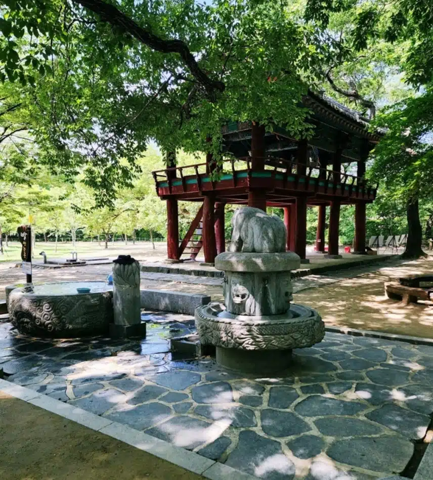 함양 가볼만한곳 상림공원
