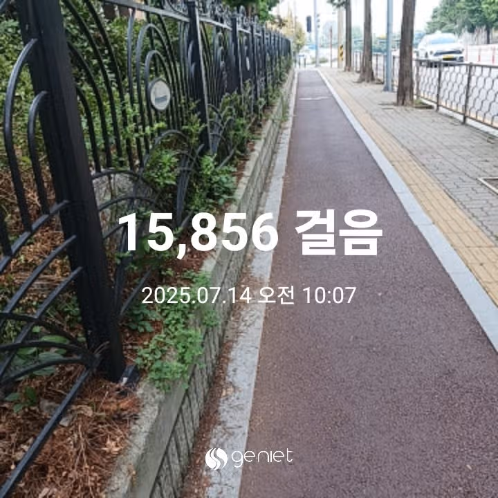 오전 운동