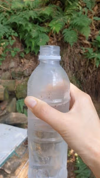 꿀 맛 같은 물마시기
