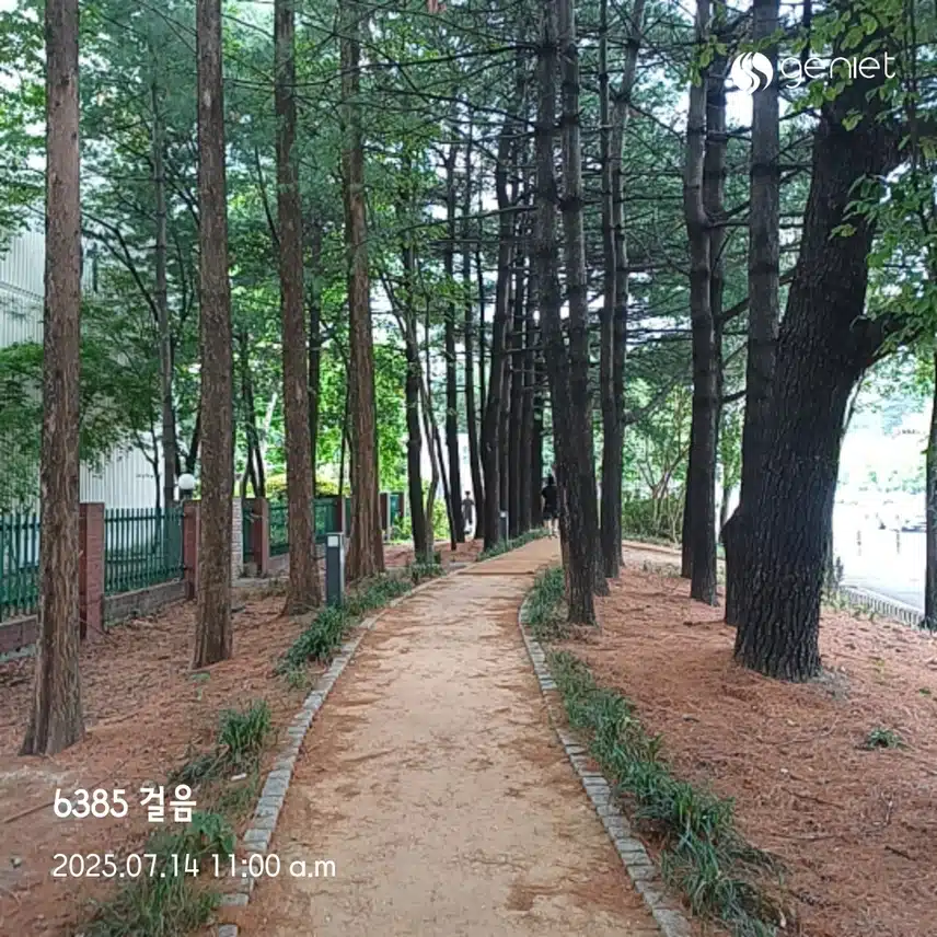 가볍게 걷기