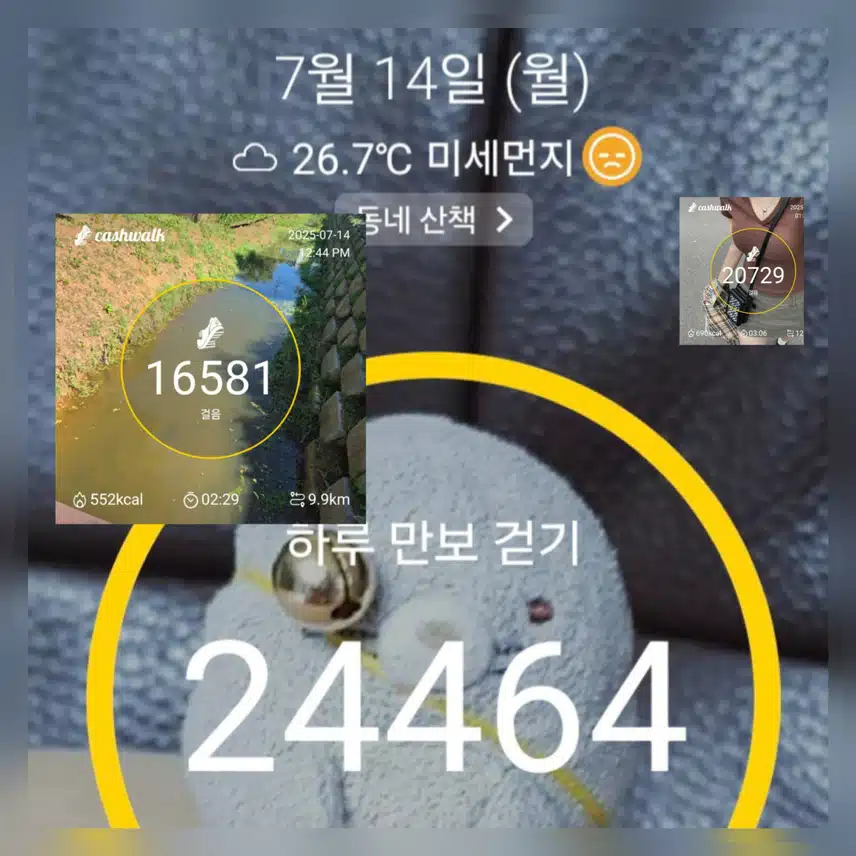 기온이쬐메낮아 시원~만보걷기 완료 ~🥰