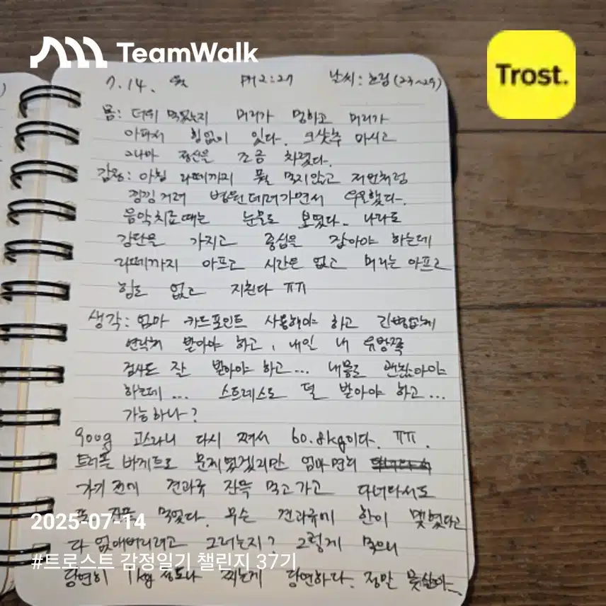 감정일기 37기 7일차 인증 