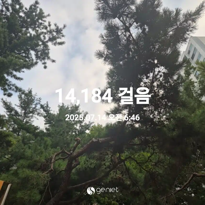 7월 14일 월요일 걷기 